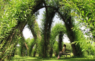 Illustration for article titled Behold These Incredible Works Of Architecture Made Out Of Living Trees